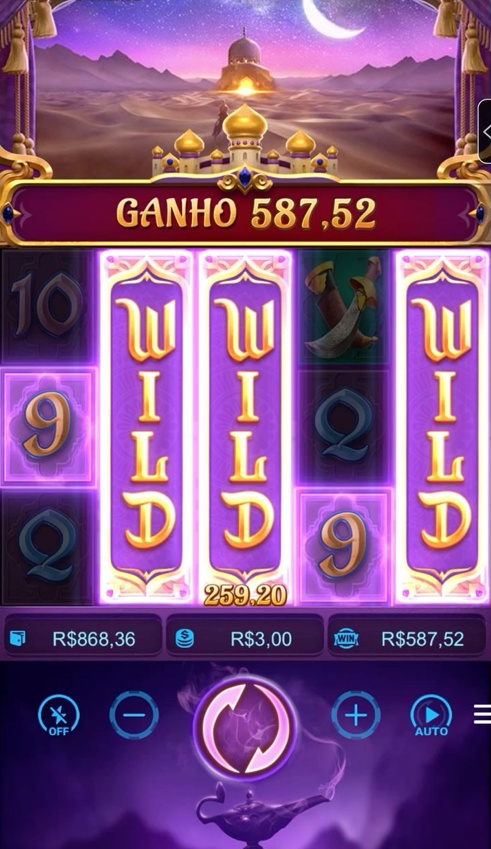 Wild Casino